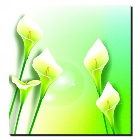 Tranh dán tường Hoa Thủy Vu